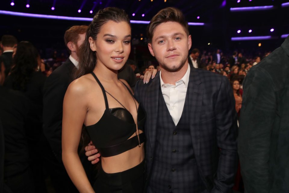 Niall Horan and Hailee Steinfeld Spark Dating Rumors