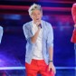 10 Things to Know About One Direction's Niall Horan