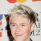 10 Things to Know About One Direction's Niall Horan