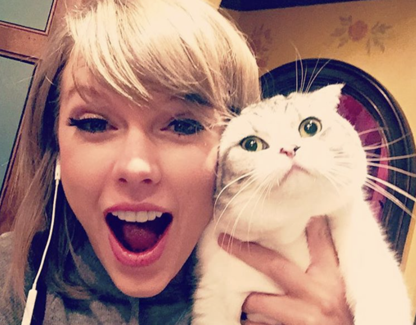 5 Times We Obsessed Over Taylor Swift’s Cats