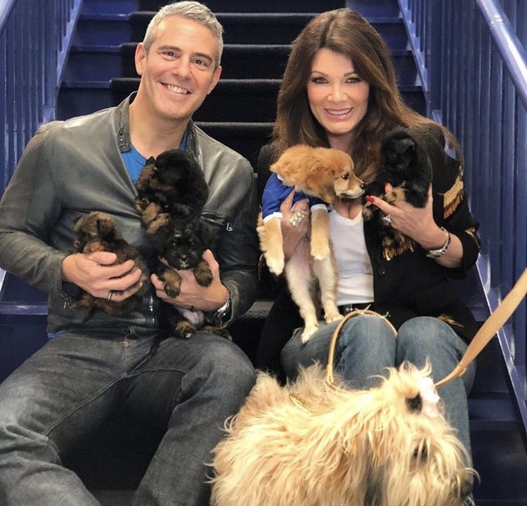 Andy Cohen & Lisa Vanderpump