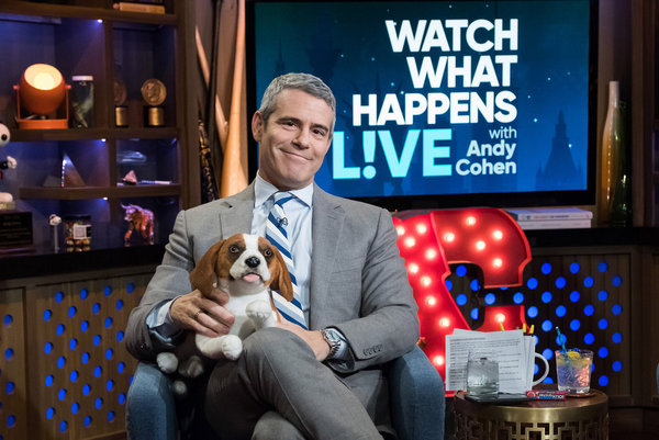 Andy Cohen