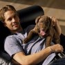 Celebrity Dogs