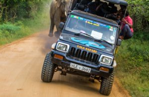 Holidaymakers had a close call when a curious elephant poked its head into their safari jeep to look for food and nearly tipped the vehicle over.