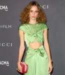 2017 LACMA Art and Film Gala