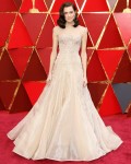 90th Academy Awards (Oscars) - Arrivals