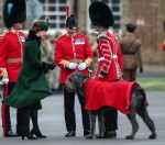 The Duke and Duchess of Cambridge present shamrocks to the 1st Battalion Irish Guards