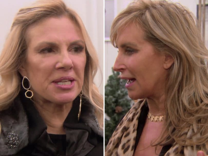 'RHONY' Bad Apple of the Week: Ramona Says Sonja's 'Out to Lunch' Following Explosive Argument