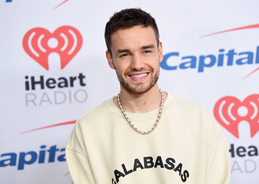 Liam Payne Reveals His Epic Plans for a One Direction Reunion