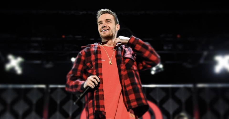 Liam Payne Hints At Upcoming One Direction Reunion