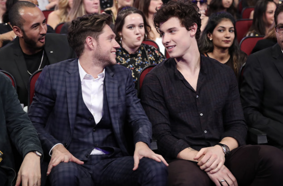 Niall Horan and Shawn Mendes Open Up About Their Friendship