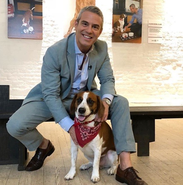 Andy Cohen