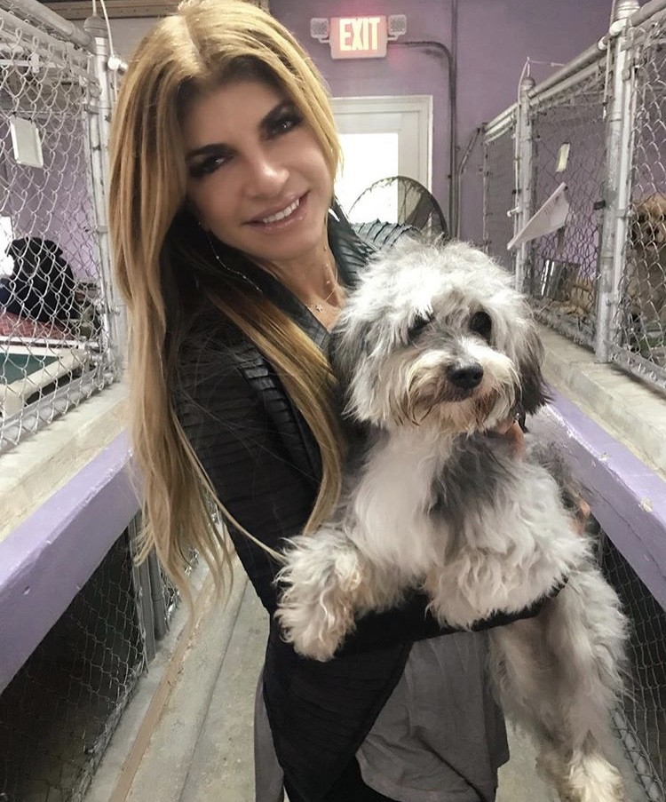 Teresa Giudice